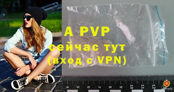 гашик Баксан